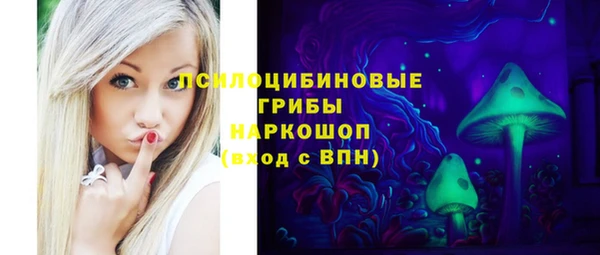 первитин Горняк