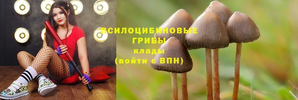 молекула духа Горнозаводск