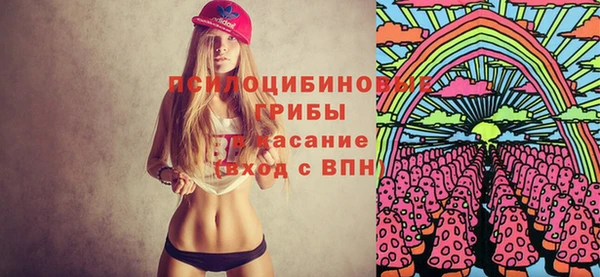 молекула духа Горнозаводск