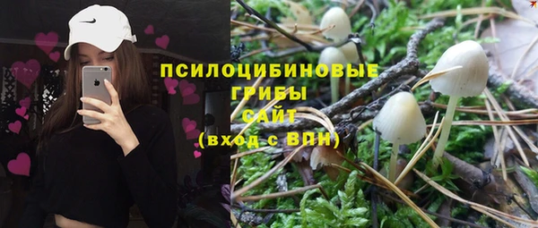 первитин Горняк