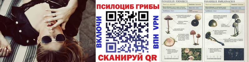Галлюциногенные грибы Magic Shrooms  Томмот 