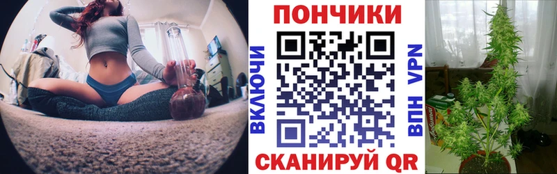 где найти   Томмот  МАРИХУАНА VHQ 